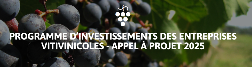 Bannière Programme d’Investissements des Entreprises Vitivinicoles FranceAgriMer
AAP Viticulture 2025 : Filière Vitivinicole en Charentes