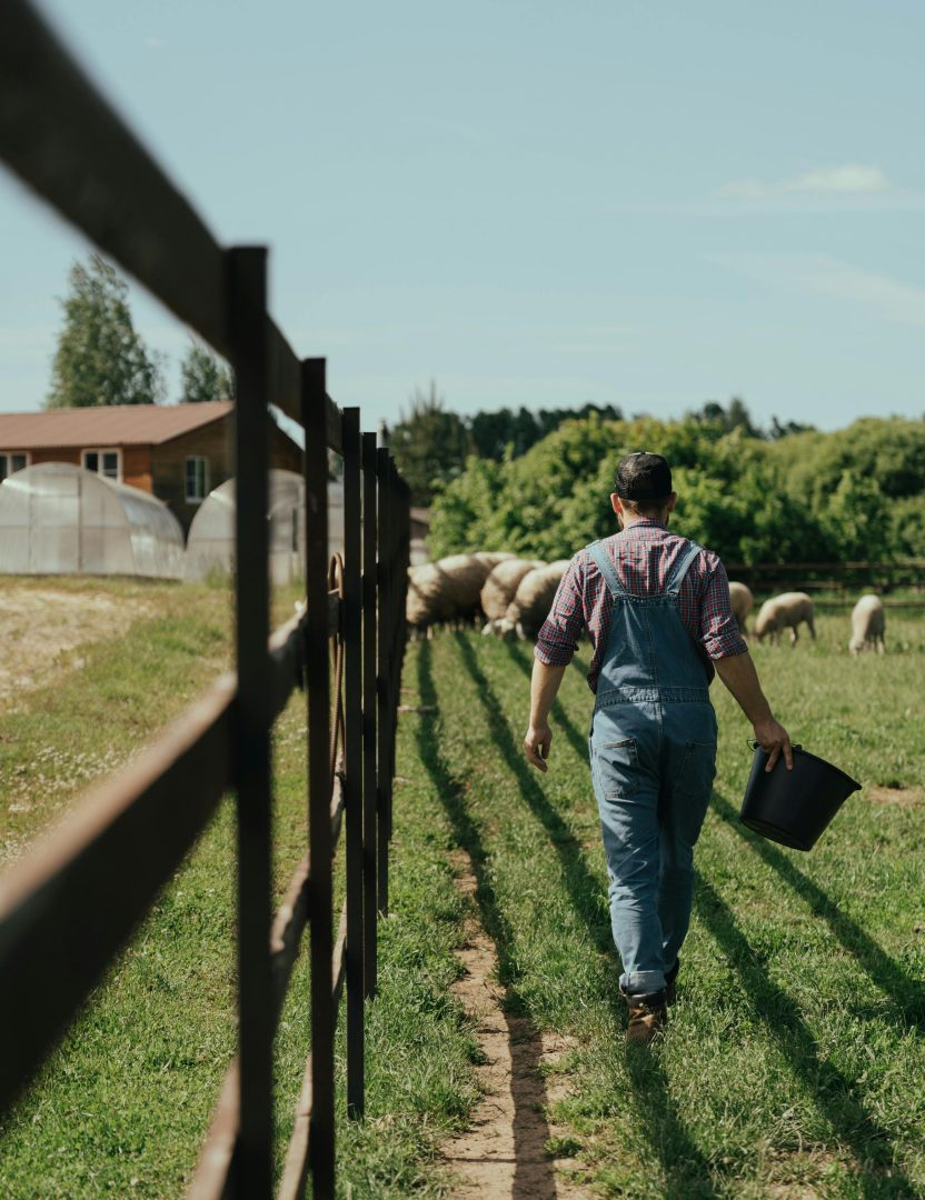 Webinaire : L'instant emploi du réseau Cuma
