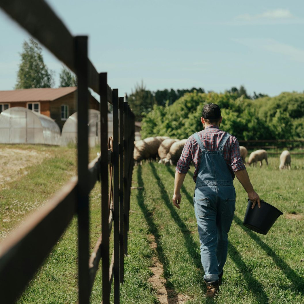 Webinaire : L'instant emploi du réseau Cuma